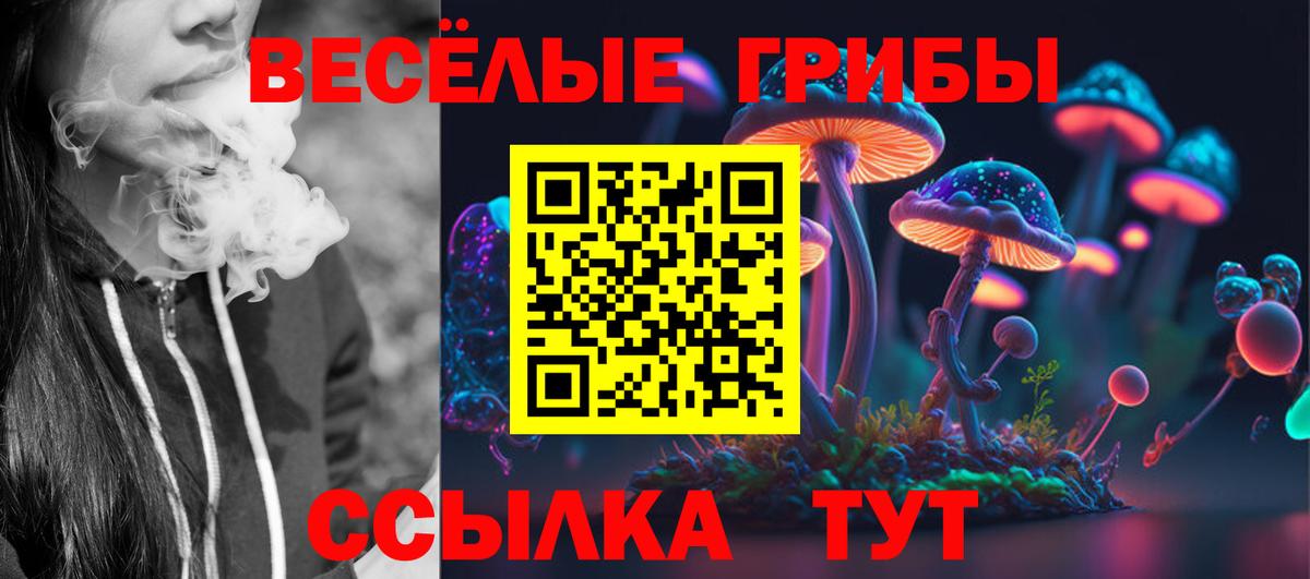 Псилоцибиновые грибы Cubensis  хочу наркоту  Россия  Вход с VPN 