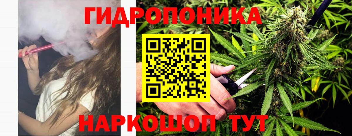 Бошки марихуана ГИДРОПОН Россия