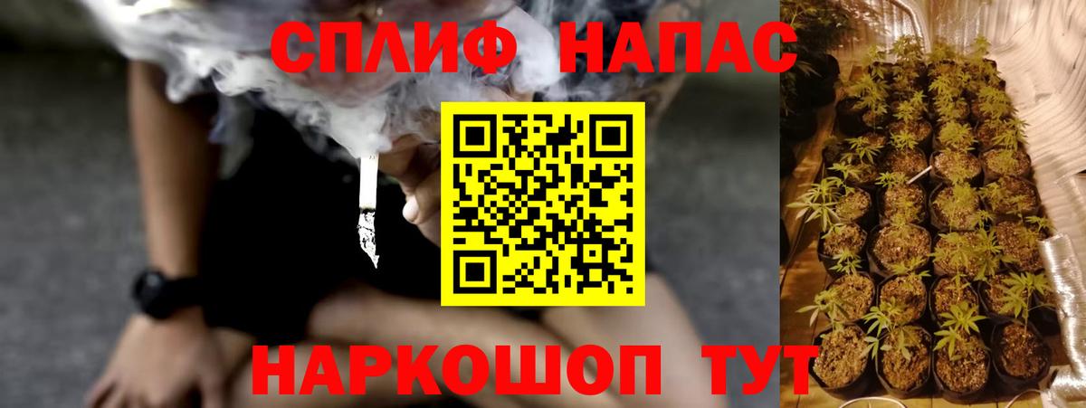 Бошки Шишки White Widow  Каннабис план  Вход с VPN  Россия  Бошки Шишки Ganja 